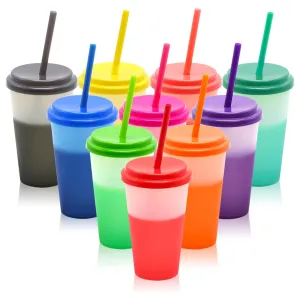 10-Piece 12 Oz Leak Proof Plastic Cups With Lids And Straws