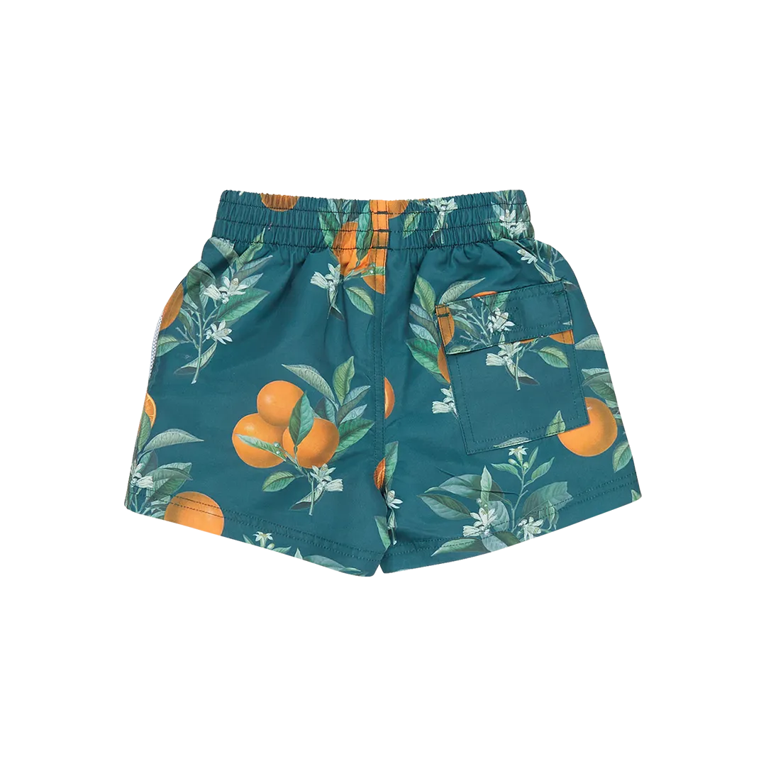 Baby Boys Swim Trunk - Green Botanical Oranges