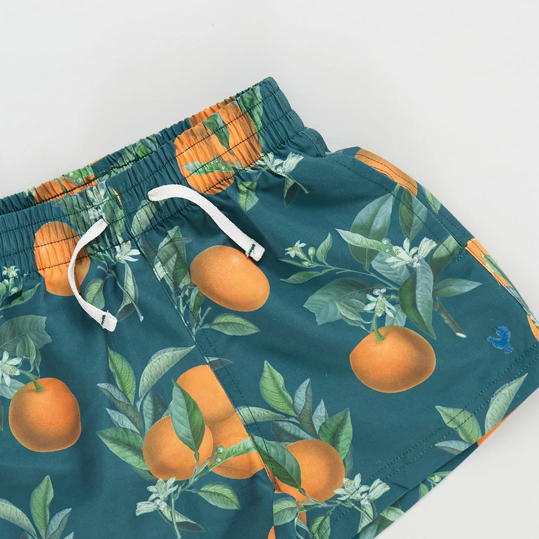 Baby Boys Swim Trunk - Green Botanical Oranges