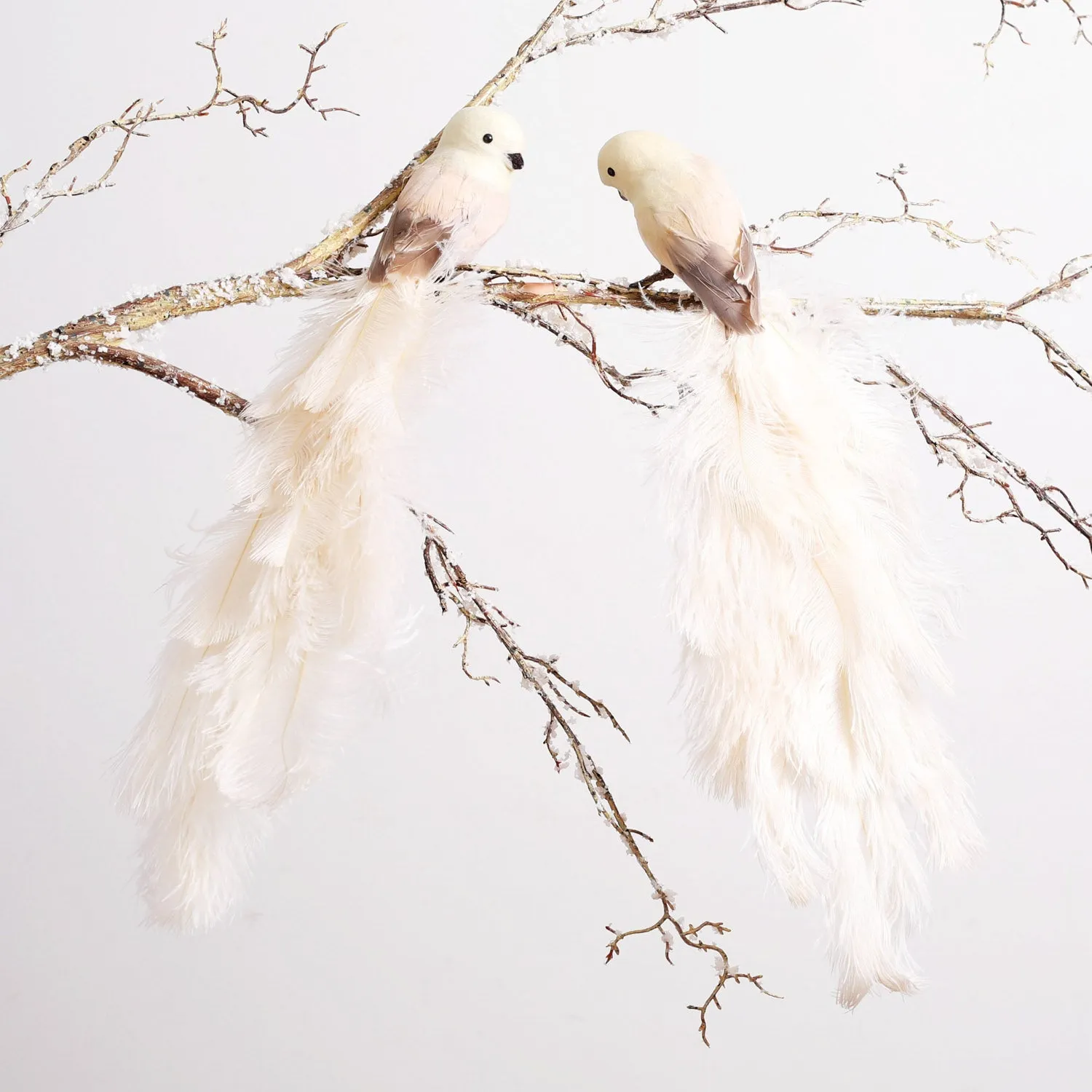 Cream Real Ostrich Feather Clip-On Bird Ornament - Set of 2 Left and Right