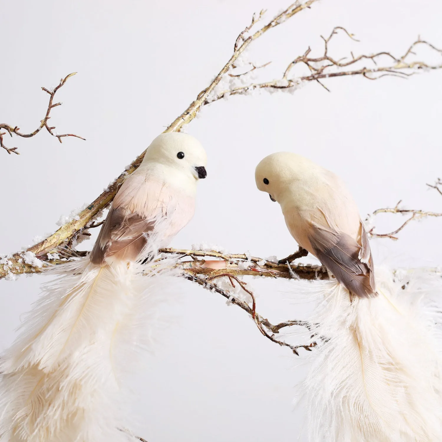 Cream Real Ostrich Feather Clip-On Bird Ornament - Set of 2 Left and Right