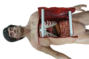 Deluxe Autopsy Jack Cadaver Body