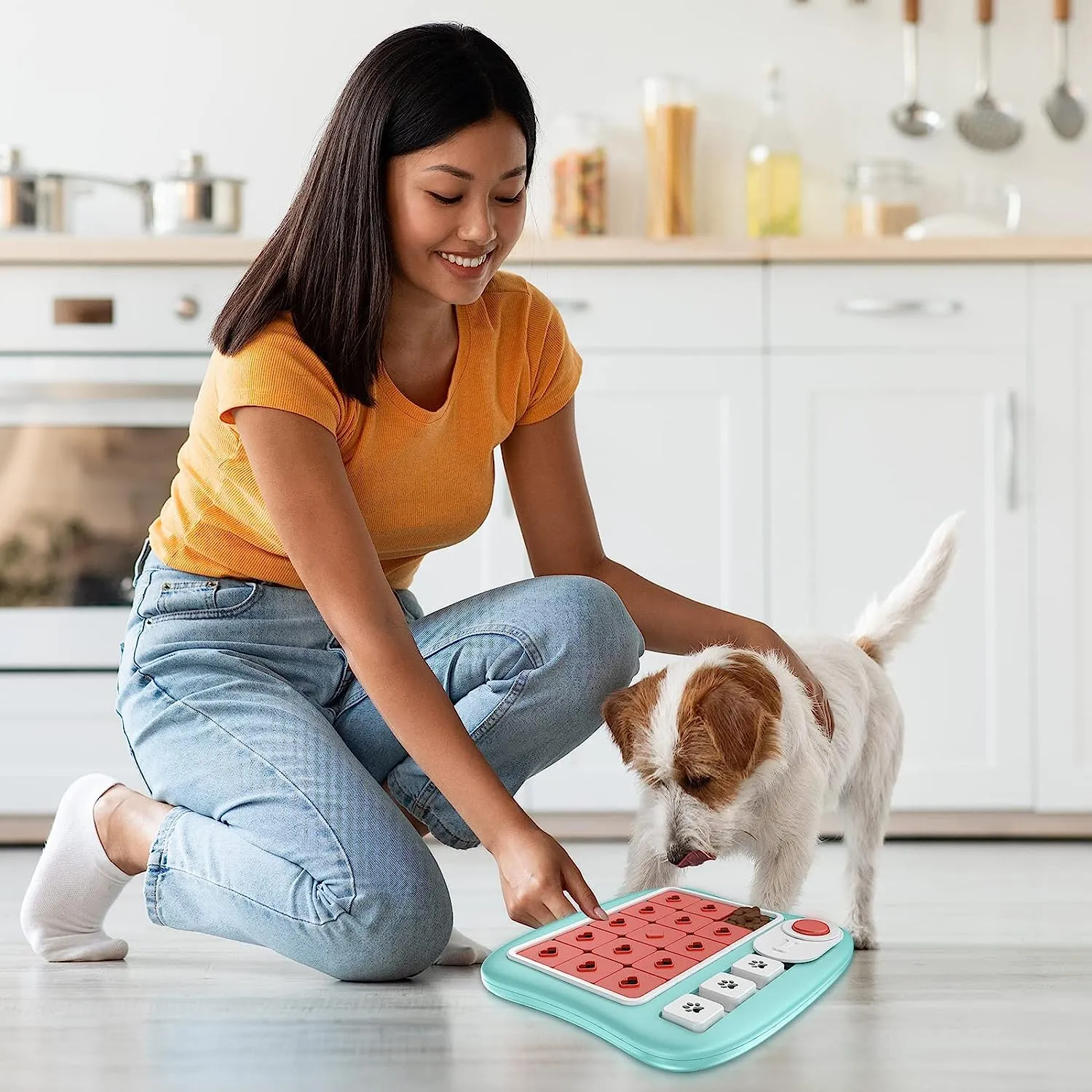 Dog Puzzle Toy (Squares)