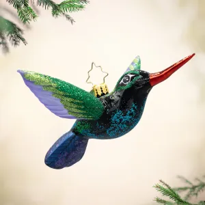 Happy Holiday Hummingbird