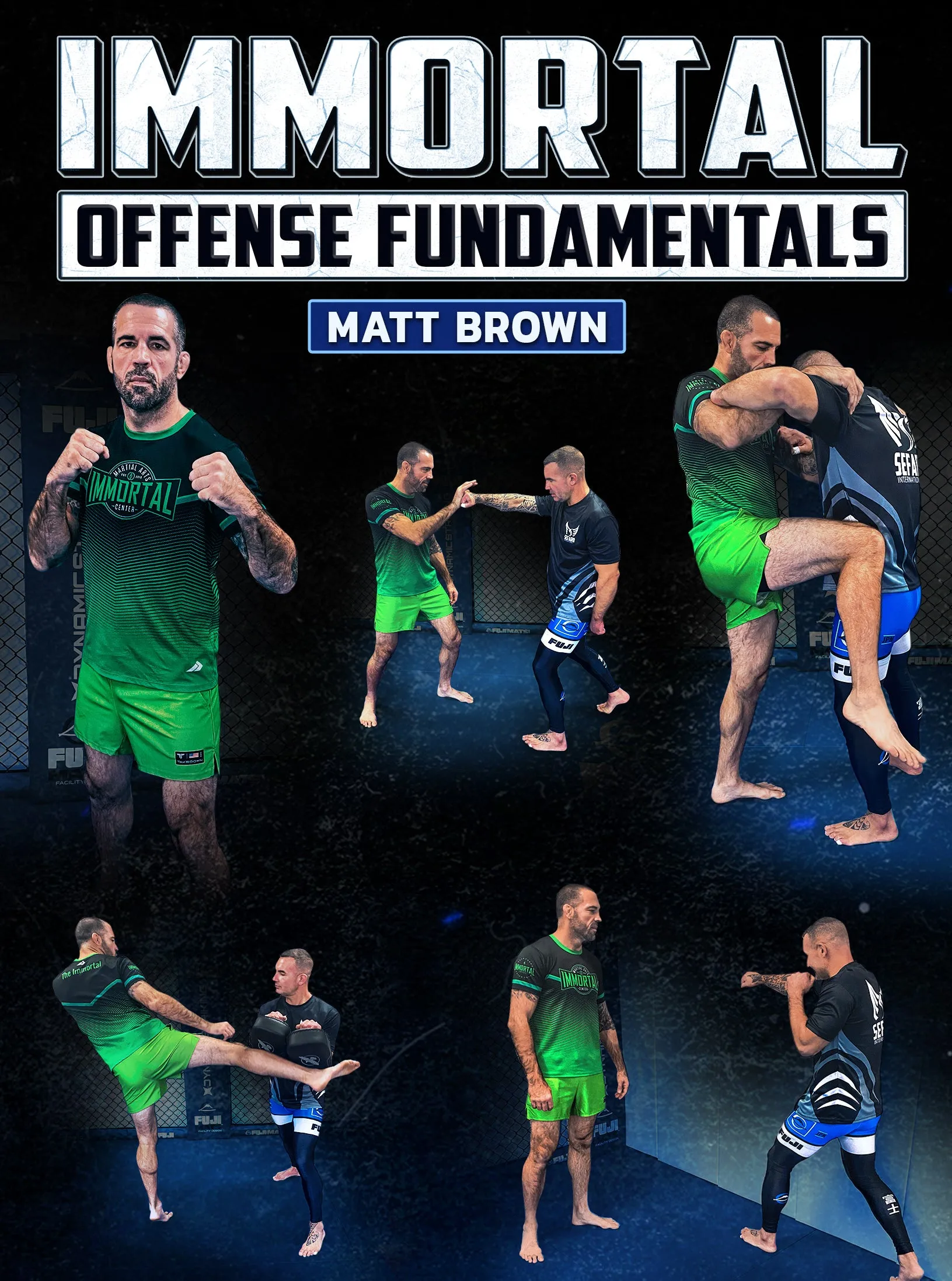 Immortal Offense Fundamentals by Matt Brown