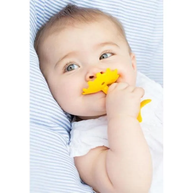 Innobaby Teether Orange 嬰兒橙牙膠