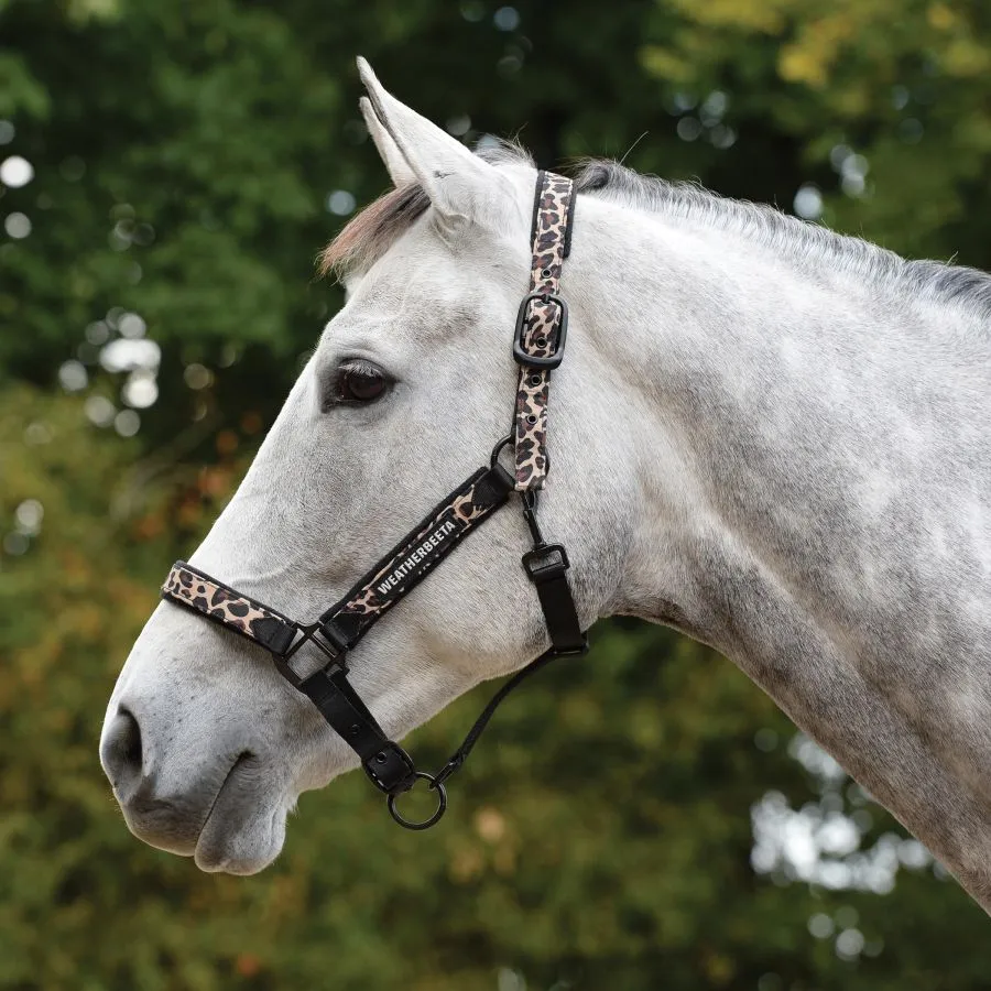 WeatherBeeta Leopard Headcollar COB ONLY